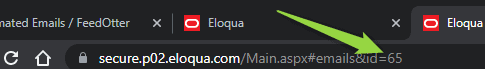 Eloqua canvas email id